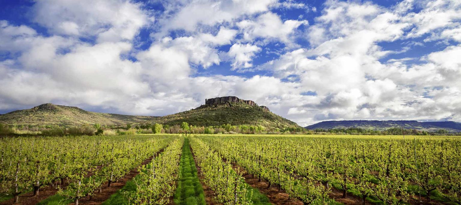 Cheap Flights to Medford / Rogue Valley, Oregon Avelo Airlines