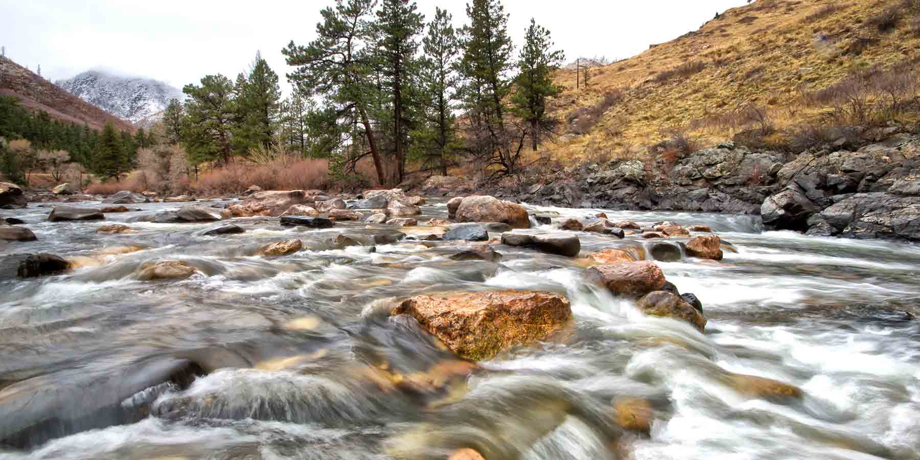 Fort Collins - Loveland, CO