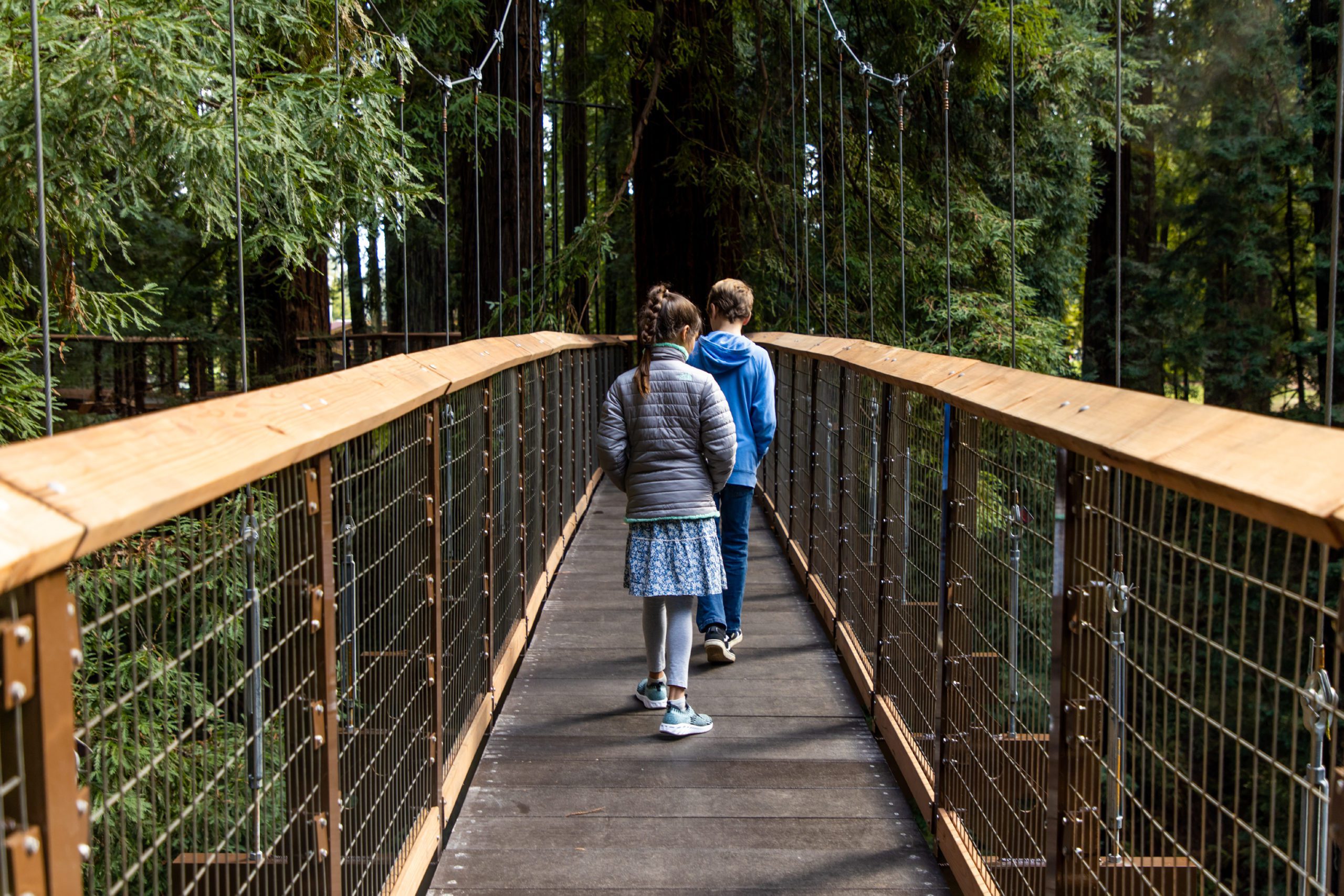 Sky Walk