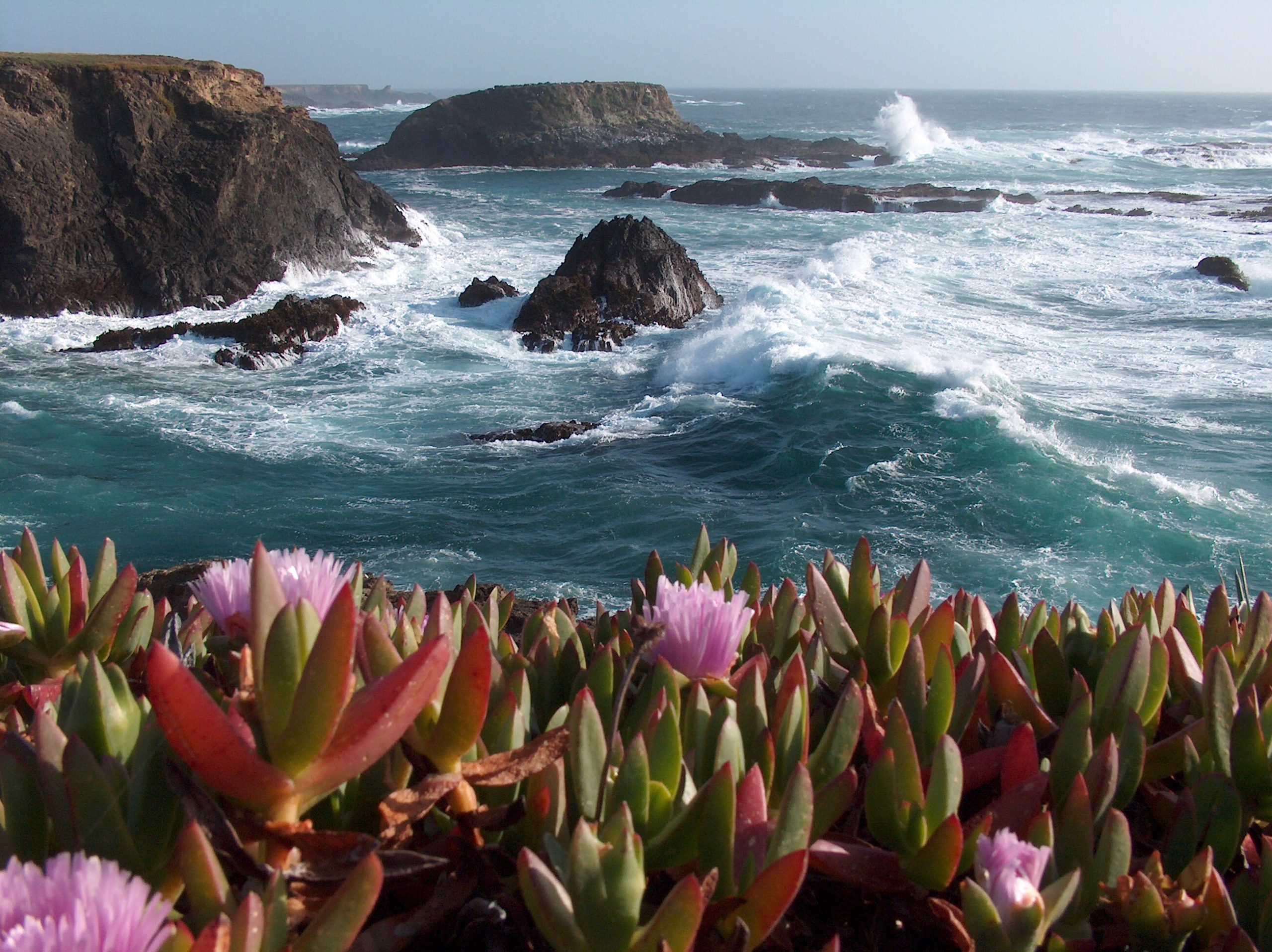 Lost Coast