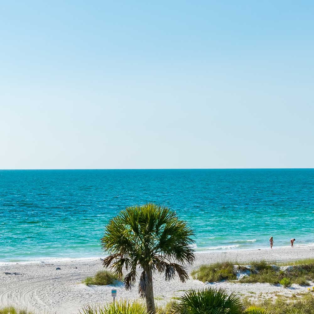 background of Tampa, FL (TPA)