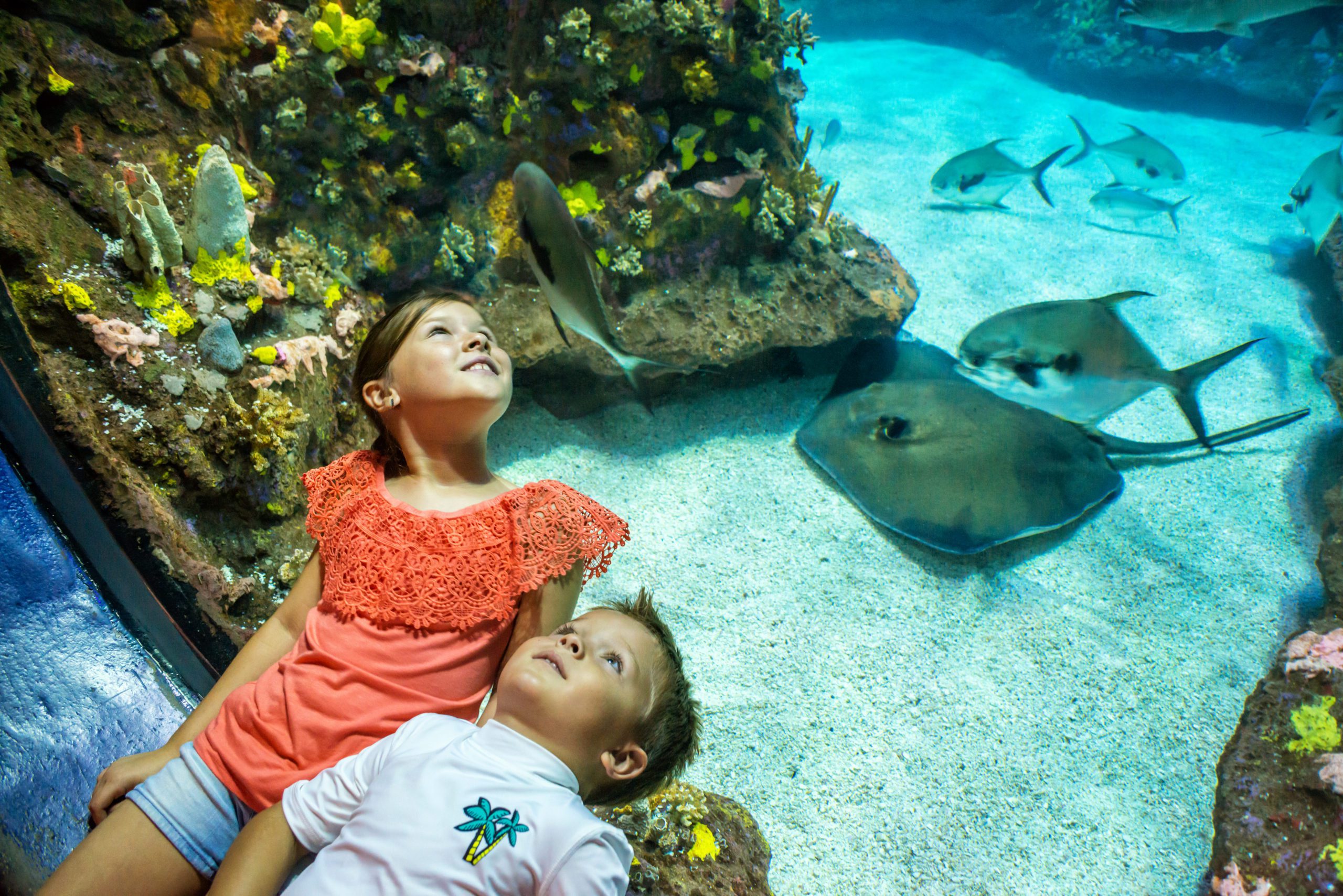 North Carolina Aquarium