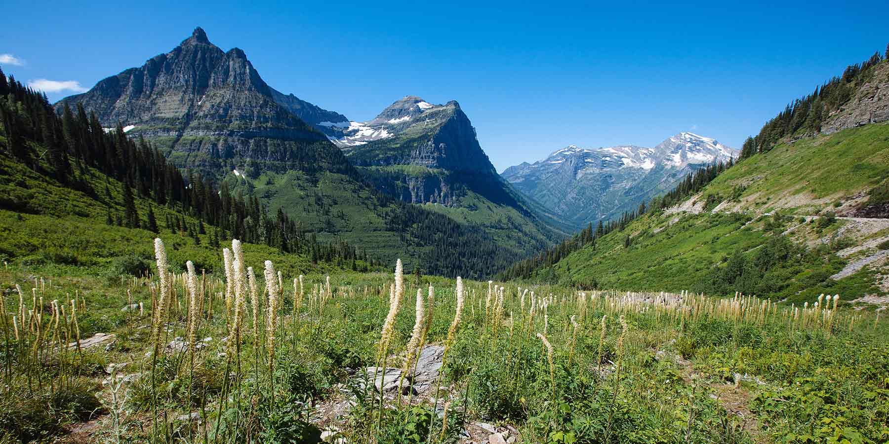 Avelo Airlines Flights from Glacier Park International Airport