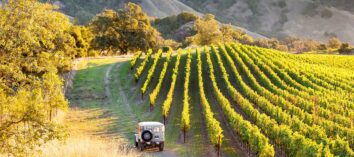 California wine country