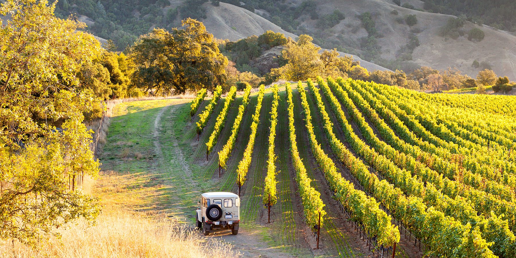 California wine country