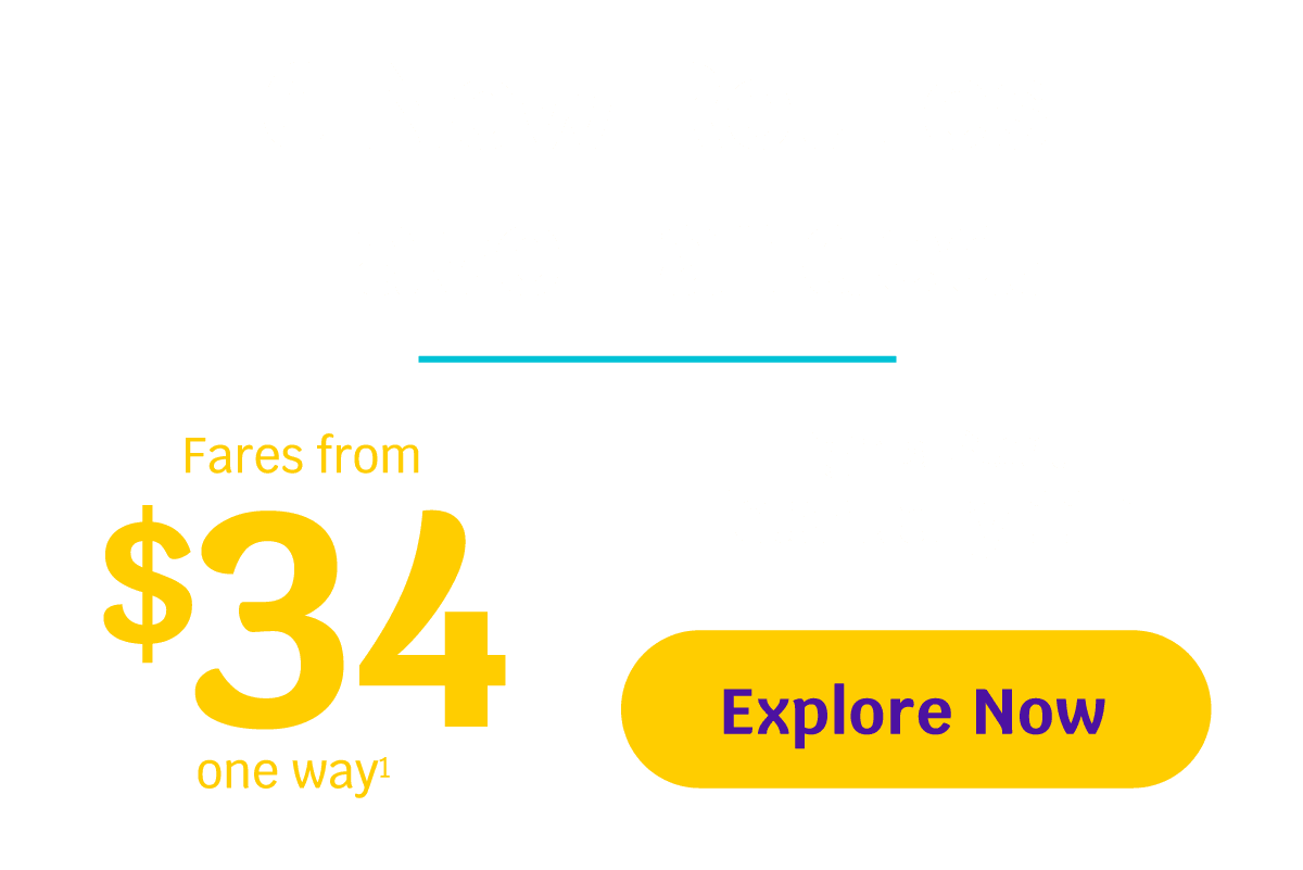 6 New Routes Have Landed! Flights Start February 11th | Fares from $34 one way | Explore Now